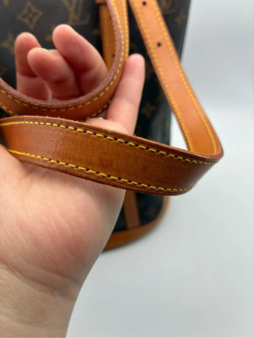 Louis Vuitton Brown Monogram Canvas Bucket bag GM